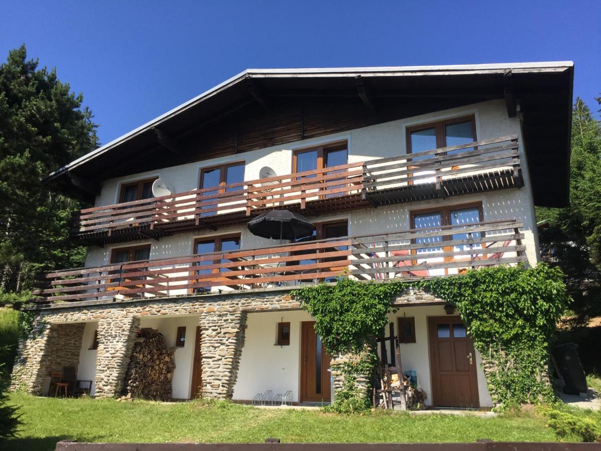 Apartman U Sjezdovky Zelezna Ruda Bagian luar foto